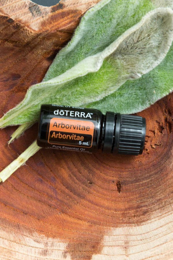 Lebensbaumöl - doTERRA Arborvitae